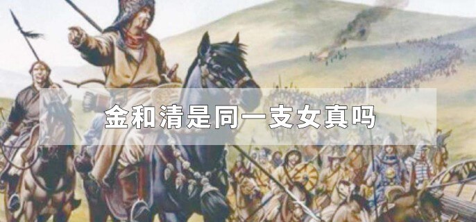 金和清是同一支女真吗