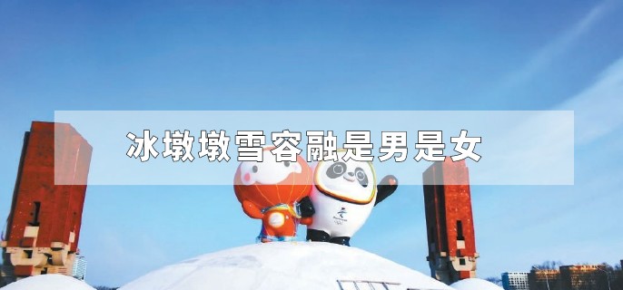 冰墩墩雪容融是男是女
