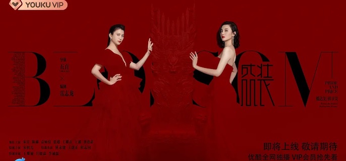 盛装是什么小说改编的