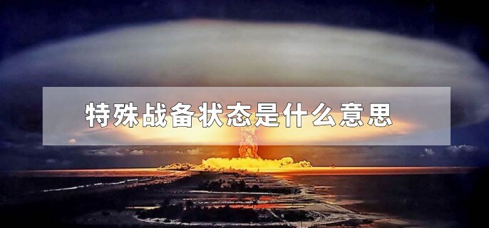 特殊战备状态是什么意思