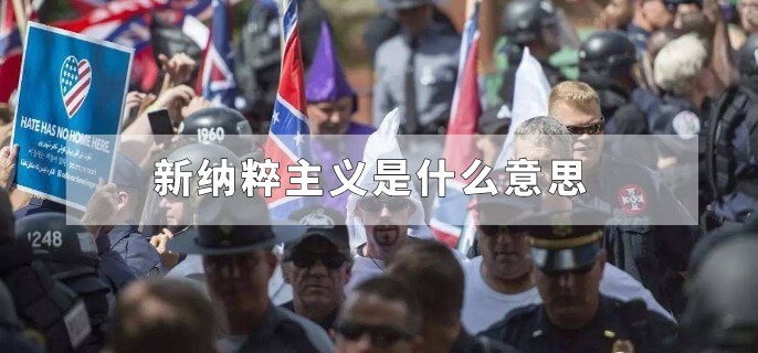新纳粹主义是什么意思