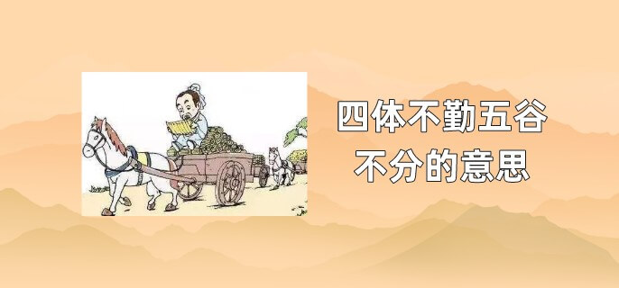 四体不勤五谷不分的意思