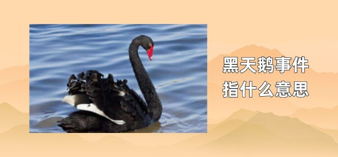 黑天鹅事件指什么意思