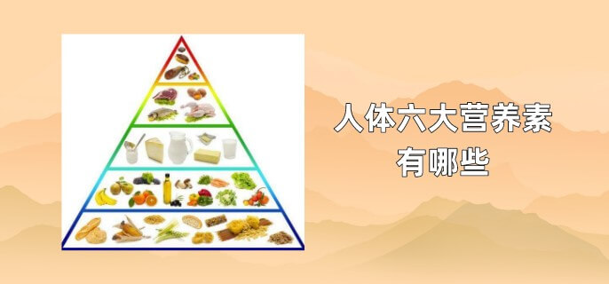人体六大营养素有哪些