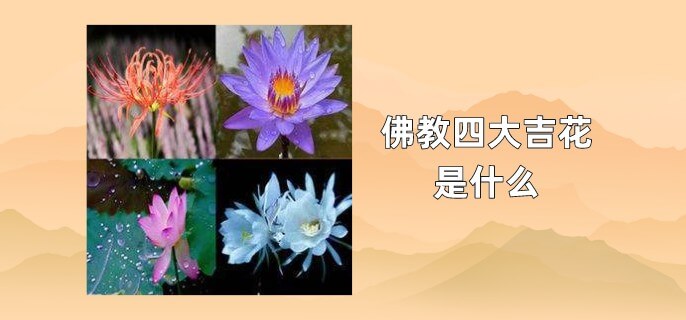 佛教四大吉花是什么