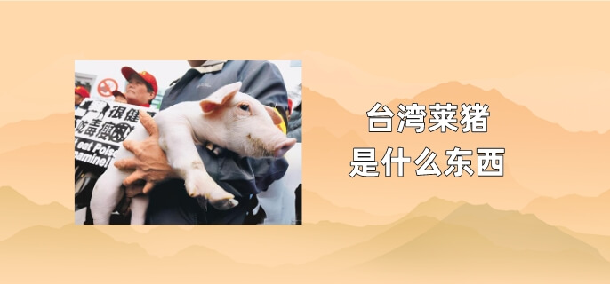 台湾莱猪是什么东西