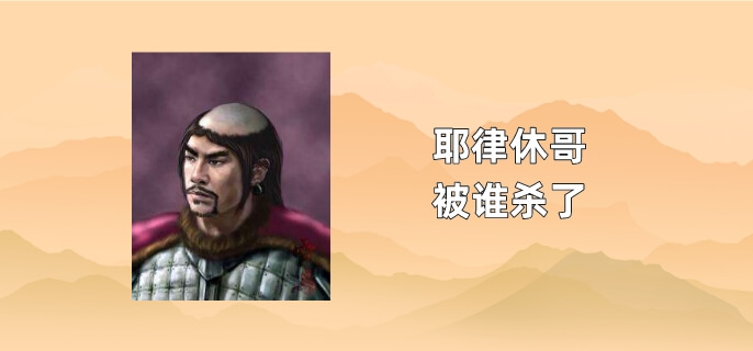 耶律休哥被谁杀了