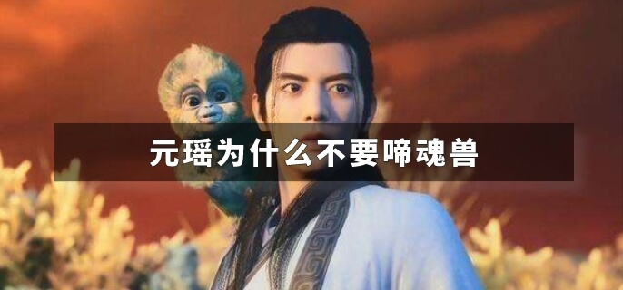 元瑶为什么不要啼魂兽