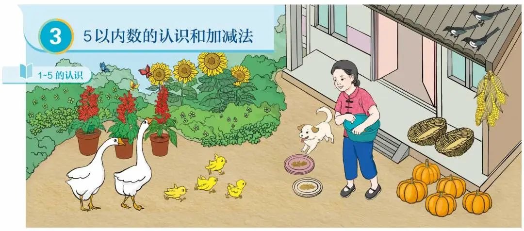 新版数学教材插图谁画的