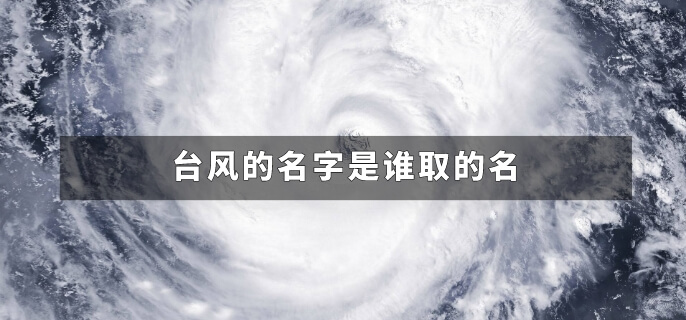台风的名字是谁取的名