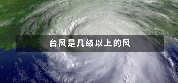 台风是几级以上的风