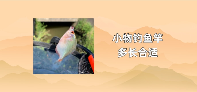 小物钓鱼竿多长合适