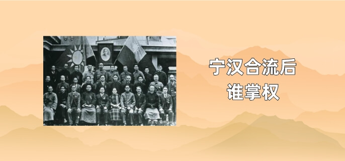 宁汉合流后谁掌权