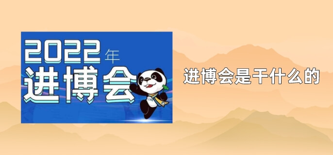 进博会是干什么的