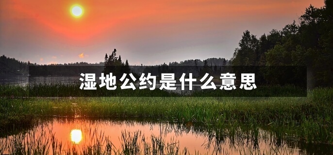 湿地公约是什么意思