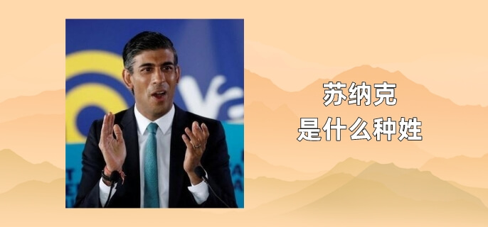 苏纳克是什么种姓