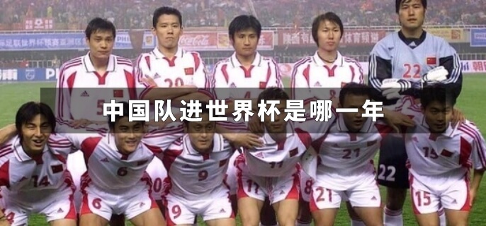中国队进世界杯是哪一年