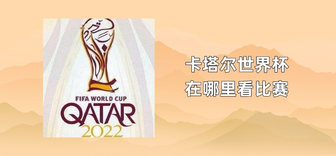 卡塔尔世界杯在哪里看比赛