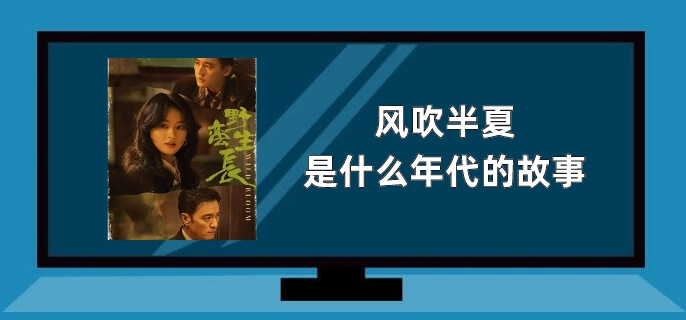 风吹半夏是什么年代的故事