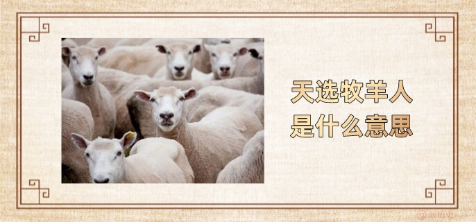 天选牧羊人是什么意思