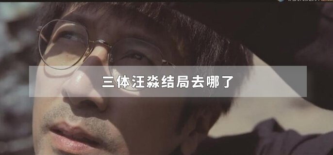 三体汪淼结局去哪了