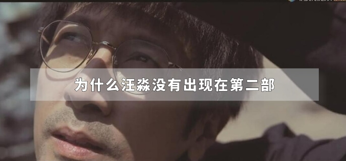 为什么汪淼没有出现在第二部