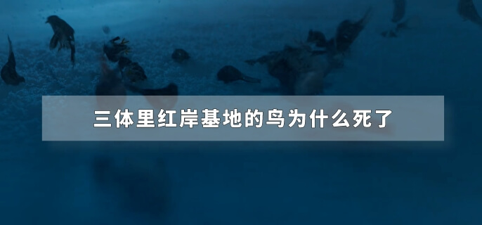 三体里红岸基地的鸟为什么死了