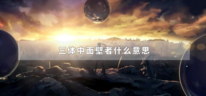 三体中面壁者什么意思