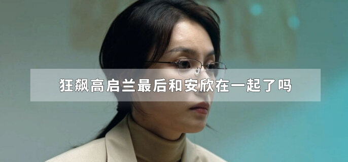狂飙高启兰最后和安欣在一起了吗