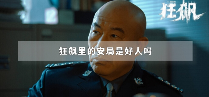狂飙里的安局是好人吗