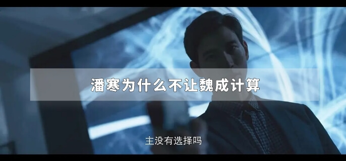 潘寒为什么不让魏成计算