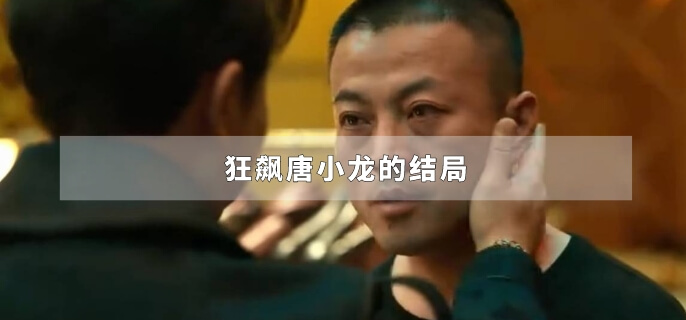 狂飙唐小龙的结局