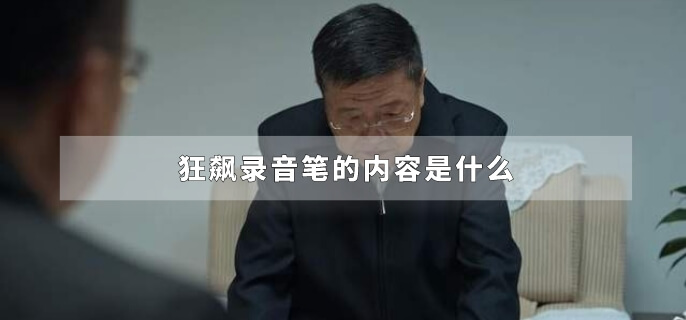 狂飙录音笔的内容是什么