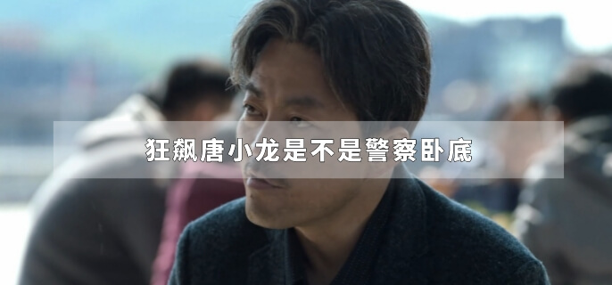 狂飙唐小龙是不是警察卧底