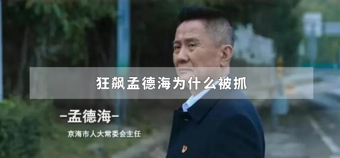 狂飙孟德海为什么被抓