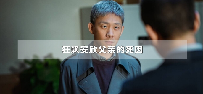 狂飙安欣父亲的死因