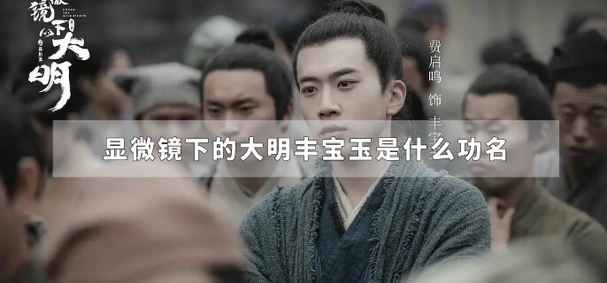 显微镜下的大明丰宝玉是什么功名
