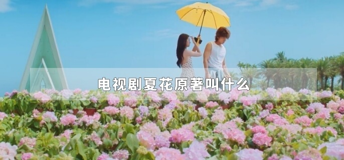 电视剧夏花原著叫什么