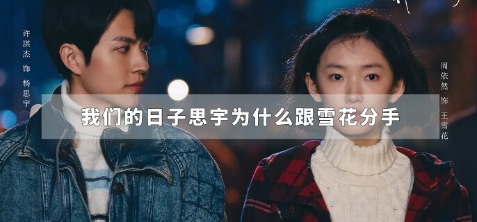 我们的日子思宇为什么跟雪花分手