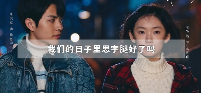 我们的日子里思宇腿好了吗