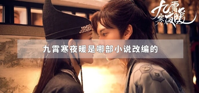 九霄寒夜暖是哪部小说改编的