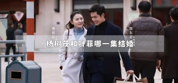 杨树茂和叶菲哪一集结婚