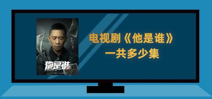 电视剧他是谁一共多少集