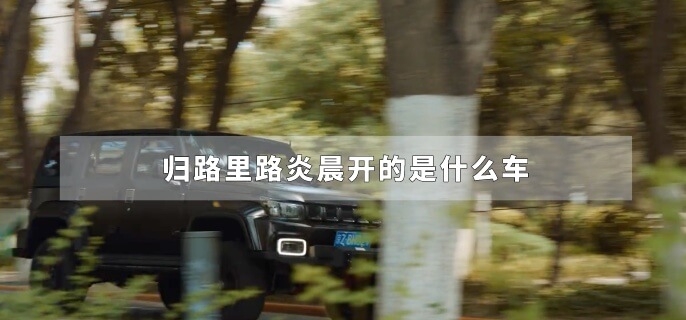 归路里路炎晨开的是什么车