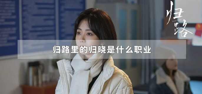 归路里的归晓是什么职业