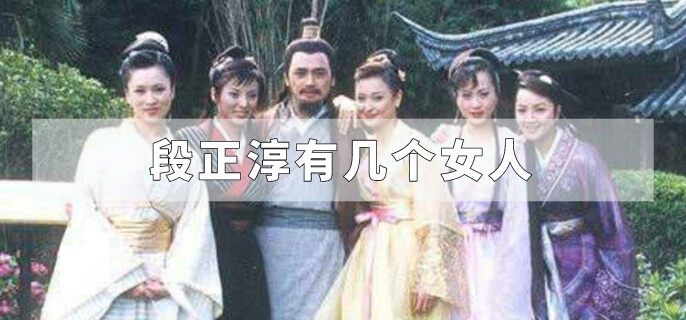 天龙八部里段正淳有几个女人